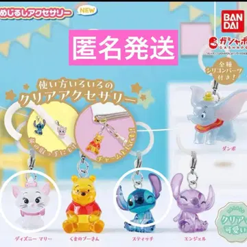 디즈니 메지루시 액세서리 익명 배송