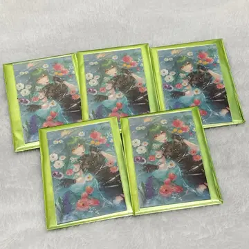 노스탤지어 컬렉션 카드 2025C 그룹 / 북소로 히스이