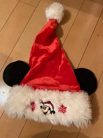 디즈니랜드 시, 크리스마스 모자 2015