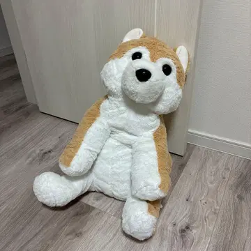 축 늘어진 시바견 봉제 인형