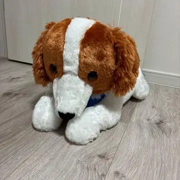 개 오데코짱 데카 봉제 인형