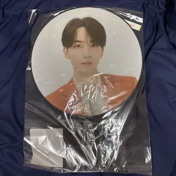 SEVENTEEN 부채 BE THE SUN