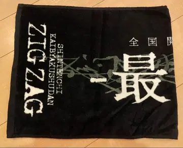 진천지개벽집단 지그재그