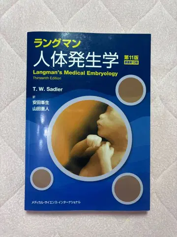 의학서 랑그만 인체 발생학 제11판 (원저 제13판)