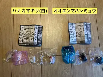 생물대도감 오오엔마사마귀 하나사마귀 화이트