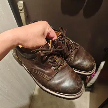 닥터마틴 브라운