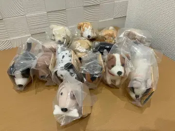 오늘의 강아지 봉제 인형 키링 15개 묶음 판매