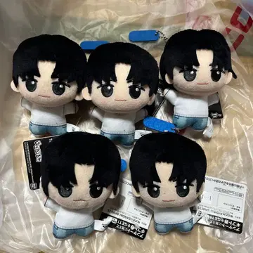 남코 한정판 TWS 투아스 SD 인형 용재 YONGJAE 6체 세트