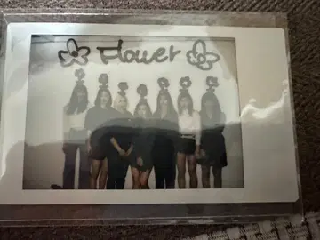 e-girls flower 팬클럽 당선 폴라로이드