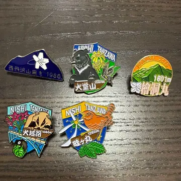 산 배지 니시탄자와