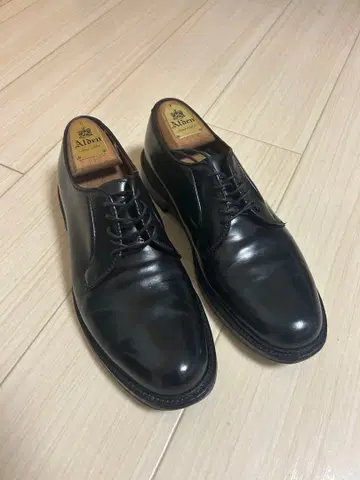 Alden 9901 Black 코도반