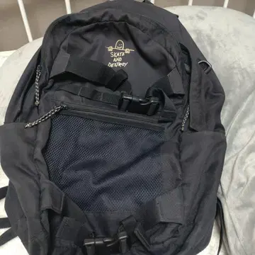 THRASHER SKATE AND DESTROY 백팩