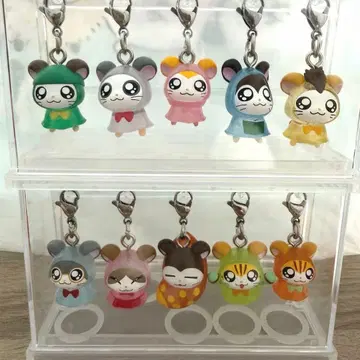 메지루시 액세서리