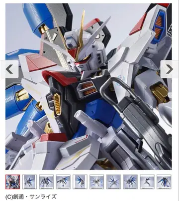 메탈 로봇혼 스트라이크 프리덤 이식