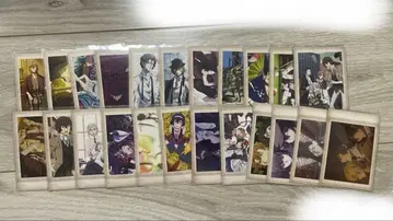 문호 스트레이독스 파샤코레