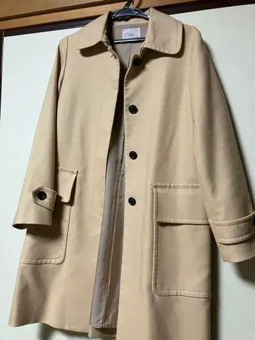 이에나 스텐카라 코트