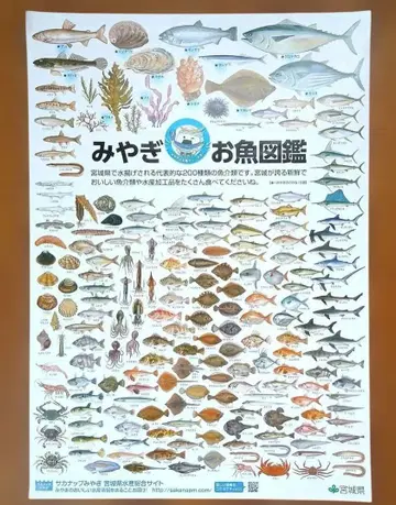미야기 어류 도감 포스터