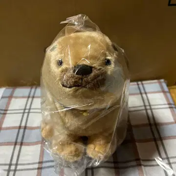 코로완 봉제 인형