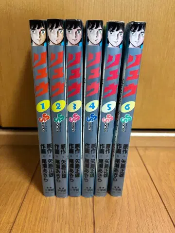 류 (1~6권) 오제 아키라 / 야지마 마사오