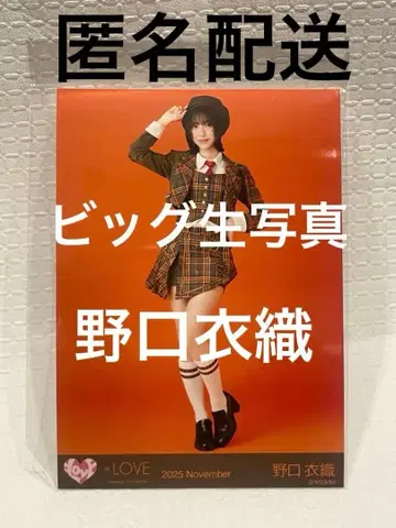 러브송에 습격당하는 노구치 이오리 빅 브로마이드