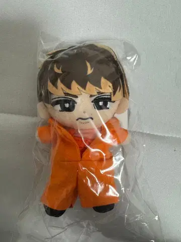 Snow Man 스노치루 마스코트 치비누이 츠나기 포함 무카이 코지