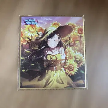 프로세카 색지 시로이시 안