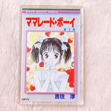 마멀레이드 보이 요시즈미 와타루 코믹 표지풍 아크릴 마그넷(블라인드)2