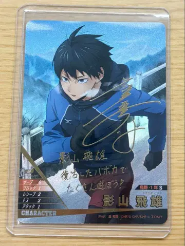 하이큐 바보카 비 카게야마