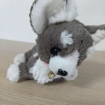 파프스 치와와 봉제 인형 그레이