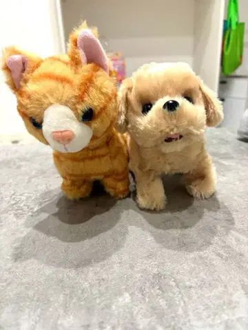 고양이와 강아지 봉제 인형 세트