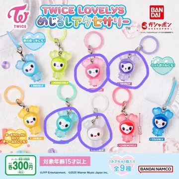 TWICE LOVELY 메지루시 액세서리 4종