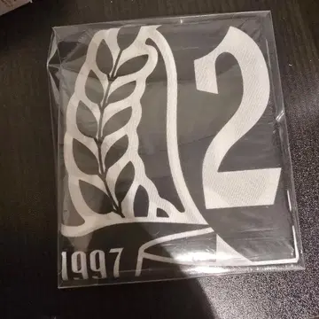 10-FEET 플래그 태피스트리 20주년