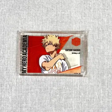 나의 히어로 아카데미아 바쿠고 카츠키 아크릴 블록