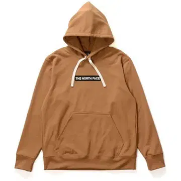 THE NORTH FACE Box Logo Hoodie L 브라운