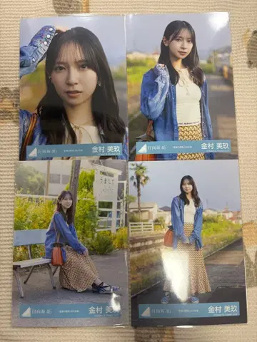 카네무라 미쿠 언어의 한계