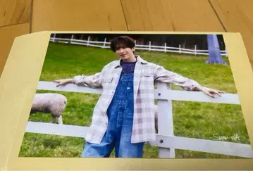 테라다 신지로 SHOW-WA 브로마이드 달력 북