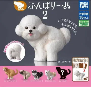 굼벵이 2종 전 6개 세트 [ 시크릿 포함 ]