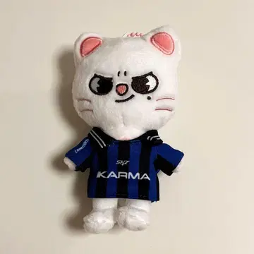 straykids KARMA 지니레트