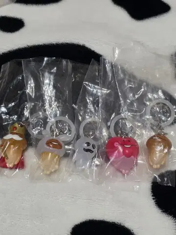 나메코 재배 키트 메지루시 5종류