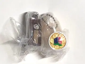 지구의 산책법 하와이 기념품 컬렉션 2 아사이 커피 가챠*