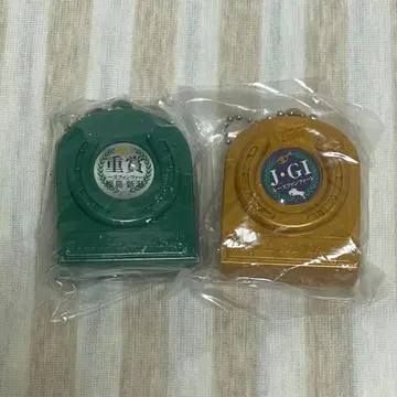 레이스 팬레 J G1 후쿠시마 니가타