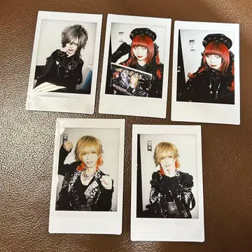 Royz 폴라로이드 님 공대님 지야님