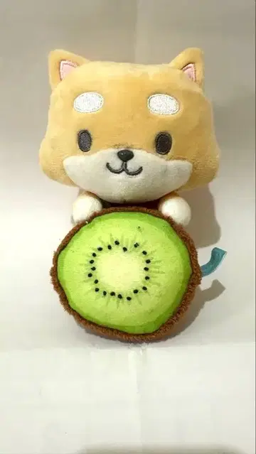 제오참 마메치 키링 프루츠