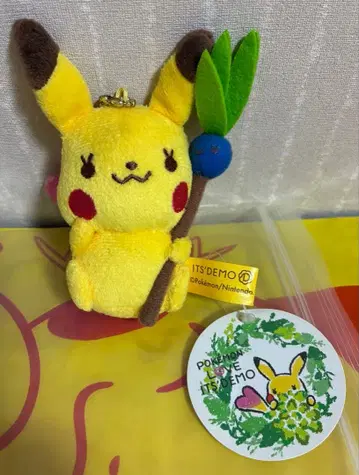 [레어] 포켓몬 피카츄 이츠데모 it's demo 나조노쿠사