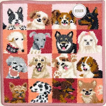 페이러 타월 손수건 룩! 마이 도그