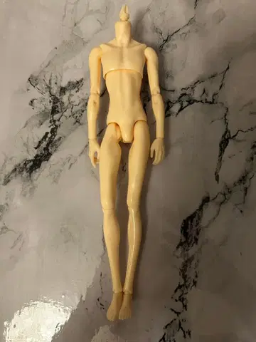 6분의 1 남자 도감 에이트 바디만