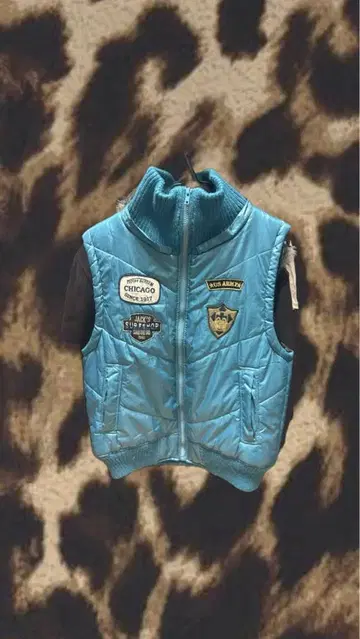 y2k 갸루 시크 스타일 다운 베스트