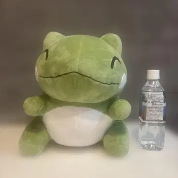 포켓몬 센터 봉제 인형