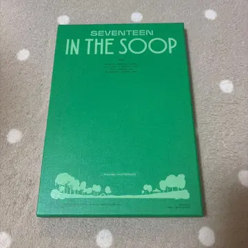 SEVENTEEN IN THE SOOP