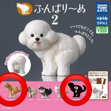 펀바리누2 펀바리누 펀바리~누 골든 리트리버 시크릿